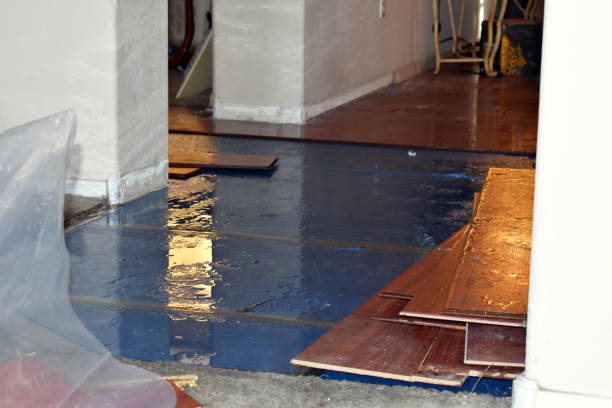 Professional Water Damage Restoration technician working in Windsor, CO
